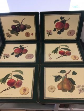 Vintage Royal Horticulture Society Fruits 6 Placemats Botanical 12x16 Pimpernel