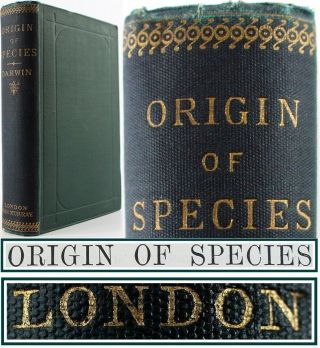 1886 Charles Darwin The Origin Of Species 6th Edition Evolution/natural History
