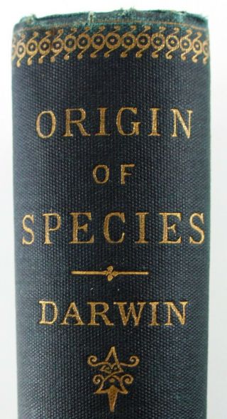 1886 CHARLES DARWIN THE ORIGIN OF SPECIES 6th EDITION EVOLUTION/NATURAL HISTORY 3