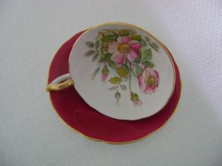 Vintage Aynsley G.  Bentley Hand Painted Wild Rose Cup & Saucer