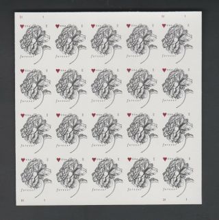 2015 Us Scott 4959a Vintage Rose Forever Imperf Pane Of 20 Without (no) Die Cuts