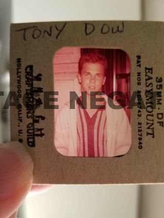 Tony Dow Sexy Vintage Unseen 35 Mm Slide Negative One Of A Kind.