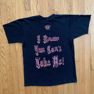 Vintage Triple H WWF I Am Your Pain T - Shirt Size Large 5