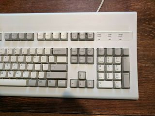 Vintage Dell PS/2 AT101W Mechanical Keyboard GYUM90SK Black ALPS 5