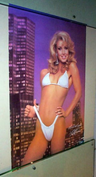 Heather Thomas Bikini Sexy Vintage Poster