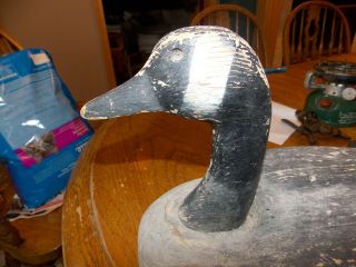 Vintage Herter ' s Balsa Canada Goose Decoy VERY COOL AND LOOK 4