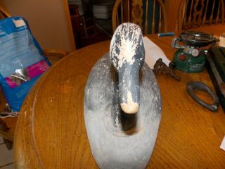 Vintage Herter ' s Balsa Canada Goose Decoy VERY COOL AND LOOK 7