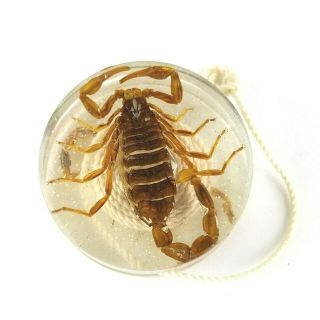 Vintage Yoyo Lucite Real Scorpion Double Sided 2 " Yoyo Toy Clear Bug 1960 