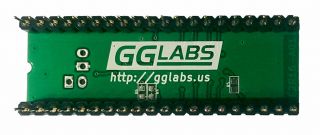 GGLABS F2R16 - Preflashed with Amiga ROM diagnostic DiagROM 1.  2 for A500/A2000 2