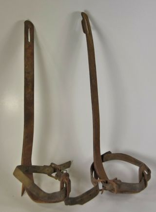 Vintage Klein & Sons 17” Pole Tree Climbing Gaffs Spikes Spurs Climbers