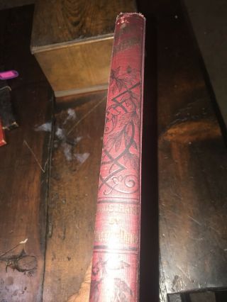 Vintage Dante’s Inferno Illustrated by Gustave Doré Edition 1800s 4