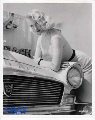 Joi Lansing Busty Sexy Hot Cars Vintage Photo