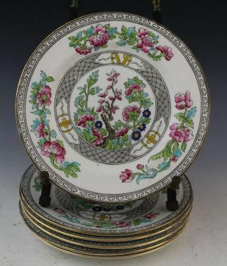 6 Pc Vintage Signed Aynsley Indian Tree Porcelain 7 " Dessert Pie Plate Set