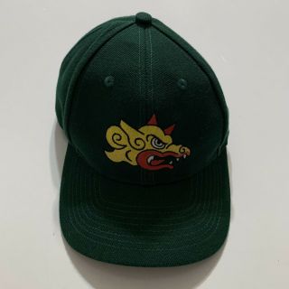 Barcelona Dragons World League Nfl Europe Green Strapback Hat Cap Vintage Puma