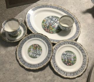 Vintage 6 Piece Royal Albert Silver Birch Large Plate Cup Saucer England