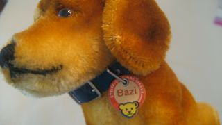 Vintage Steiff Bazi Dachshund Dog,  Early Post Ww Ii,  1947 - 1953