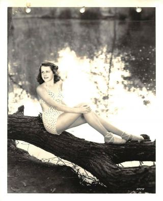 Helen Parrish Gorgeous Vintage 1939 Swimsuit Cheesecake Pinup Photo By Ray Jones
