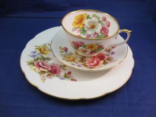 Vintage Roslyn Tea Cup W.  Staffordshire Saucer And Sandwich Plate