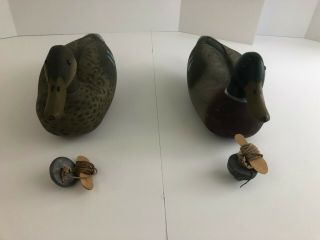 Two Vintage Victor Animal Trap Company Of America Mallard Duck Decoys W/ Weights
