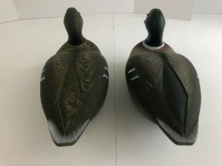 Two Vintage Victor Animal Trap Company of America Mallard Duck Decoys W/ Weights 3