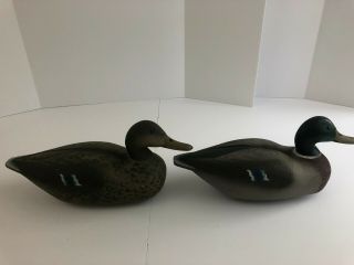 Two Vintage Victor Animal Trap Company of America Mallard Duck Decoys W/ Weights 4