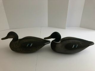 Two Vintage Victor Animal Trap Company of America Mallard Duck Decoys W/ Weights 5