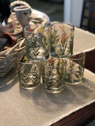 Neiman Marcus Vintage Wildflower Weed Botanical Glasses Set Of 6