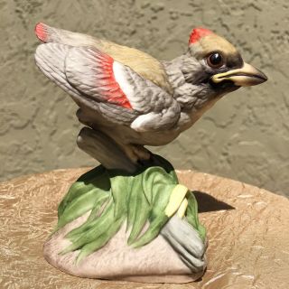 Vintage Edward Marshall Boehm Fine Porcelain Baby Cardinal Bird 400 - 57 Figurine