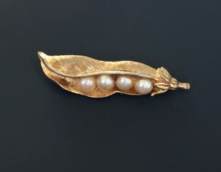 Vintage Signed Capri Pea In A Pod Brooch In Gold Tone Metal With Pearls