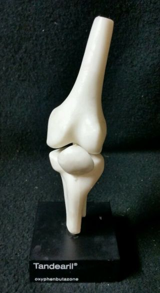 Vintage Geigy Anatomical Model Human Knee