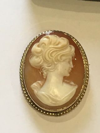 A Vintage Shell Cameo Brooch,  In 9ct Gold Mount