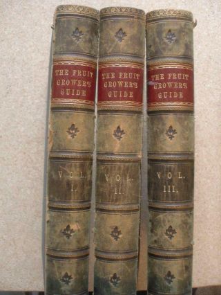The Fruit Growers Guide John Wright 1890s 6 Vols Bound As 3 43 Col Plates 19j