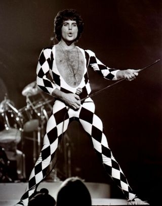 Freddie Mercury Queen Sexy Vintage Photo 8 X11 Reprint Rp