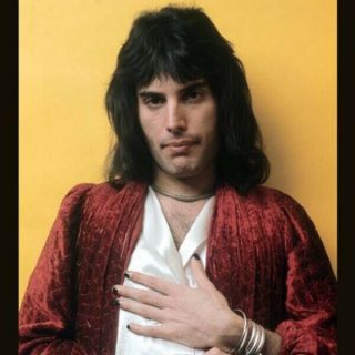 Queen Freddie Mercury Sexy Vintage Concert 8x11 Glossy Photo Print