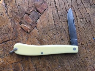 Vintage Schrade Walden Celluloid Pocket Knife