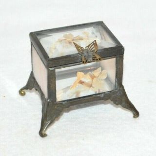 Vintage Bevel Glass Pressed Dried Flower Trinket Box Clear Brass Butterfly