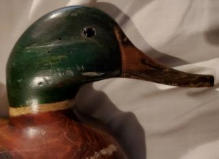 Tom Taber Vintage Duck Decoy Signed 5