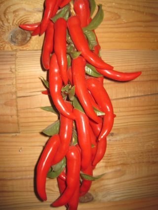Vintage Artificial Red Chili Peppers (40 peppers) Fake Peppers on 26 