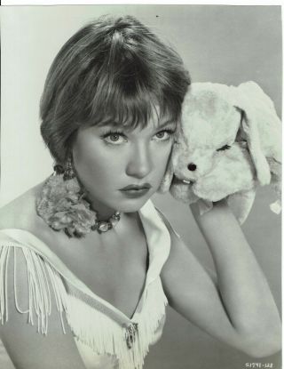 Shirley Maclaine Actress Vintage Portrait Photograph 10 X 8 S1714 - 128