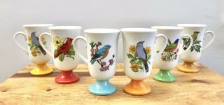 Bird Coffee Tea Mugs Cups Set 6 Footed Vintage Japan Fred Roberts Rainbow