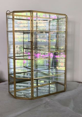 Vintage Brass Glass Trinket Display Case Wall Curio Cabinet Mirrored Door 8x10