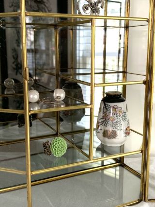 Vintage Brass Glass Trinket Display Case Wall Curio Cabinet Mirrored Door 8x10 6