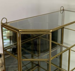 Vintage Brass Glass Trinket Display Case Wall Curio Cabinet Mirrored Door 8x10 7