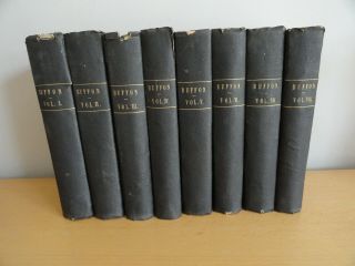 8 Vols Buffon Natural History 300,  Plates Primates Cats Pachyderm 1st Ed 1780