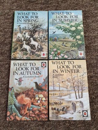 Vintage Ladybird Series 536 What To Look For In.  All 4 Hb Books Matt Boards