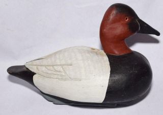 Canvasback Duck Decoy W Weighted Wood Keel By J.  Hill - Glass Eyes