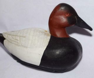 Canvasback Duck Decoy w Weighted Wood Keel by J.  Hill - Glass Eyes 2