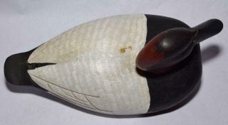 Canvasback Duck Decoy w Weighted Wood Keel by J.  Hill - Glass Eyes 3