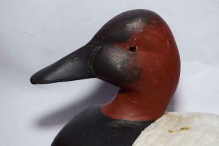 Canvasback Duck Decoy w Weighted Wood Keel by J.  Hill - Glass Eyes 5