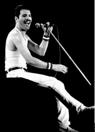 Freddie Mercury Queen Vintage Sexy Concert 8x11 Glossy Photo Print Reprint Rp